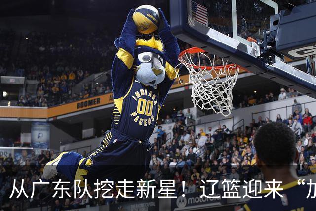 从广东队挖走新星！辽篮迎来“加强版杜润旺”，杜锋失去锋线人才